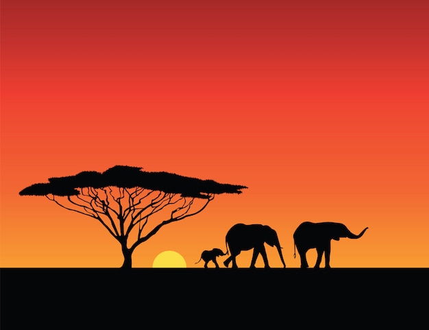 Elephants silhouettes, sunset illustration