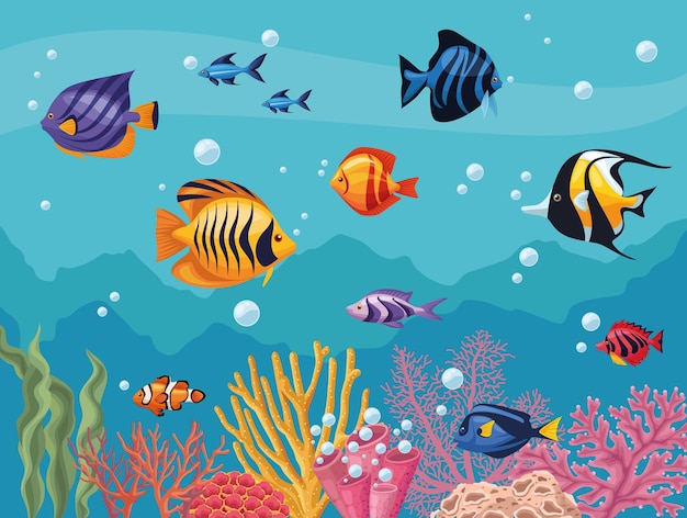 eleven fishes and seaweed