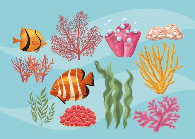 Eleven sea life icons