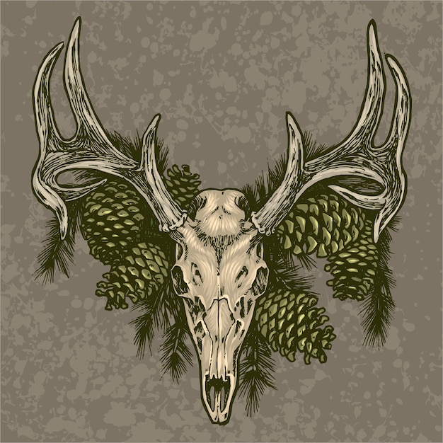 Premium Vector | Elk skull and pine cone illustration