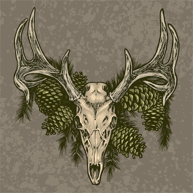 Elk skull and pine cone illustration