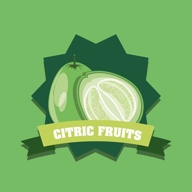 Emblem of citric fruits design with lemon