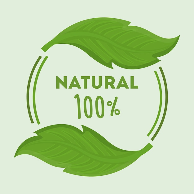 emblem of natural product with leaves icon 