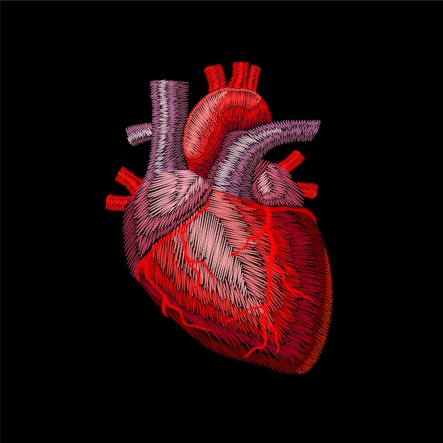 embroidery crewel human anatomic heart medicine organ.