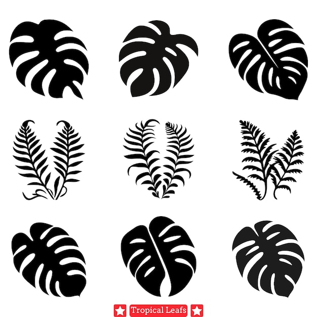 Vector emerald symphony rich tropical leaf silhouettes ensemble for visual harmony