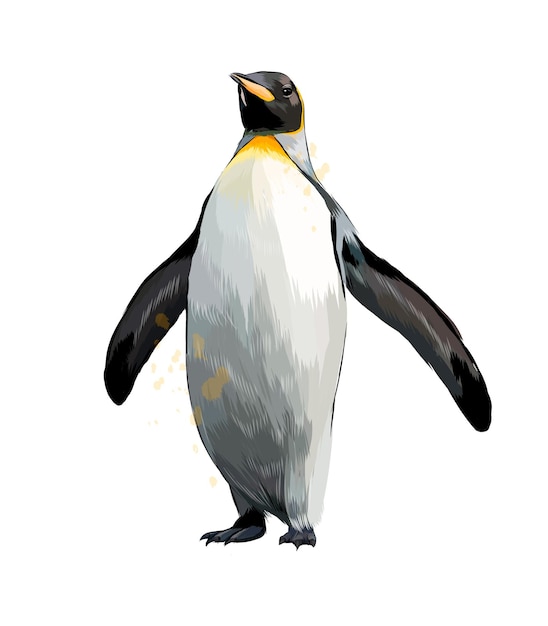 Emperor penguin from a splash of watercolor, colored drawing .  