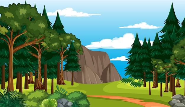 Vector empty forest environment background