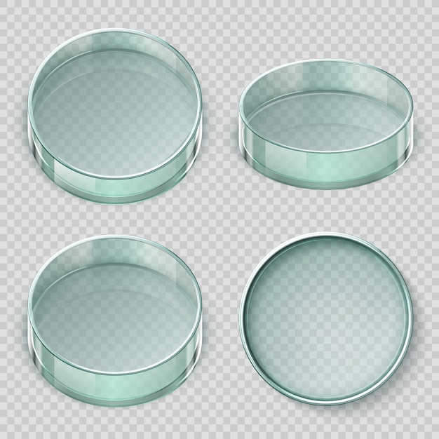 Empty glass petri dish. biology lab dishes vector illustration isolated on transparent