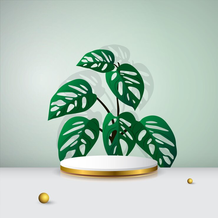 Vector empty podium stage for product display show or promotion with leaves