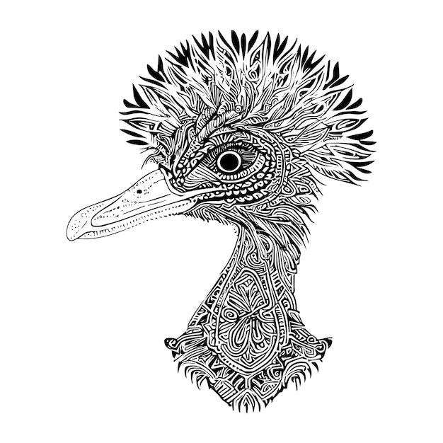 Vettore emu animale ornamenti illustrazione vettoriale disegnato a mano