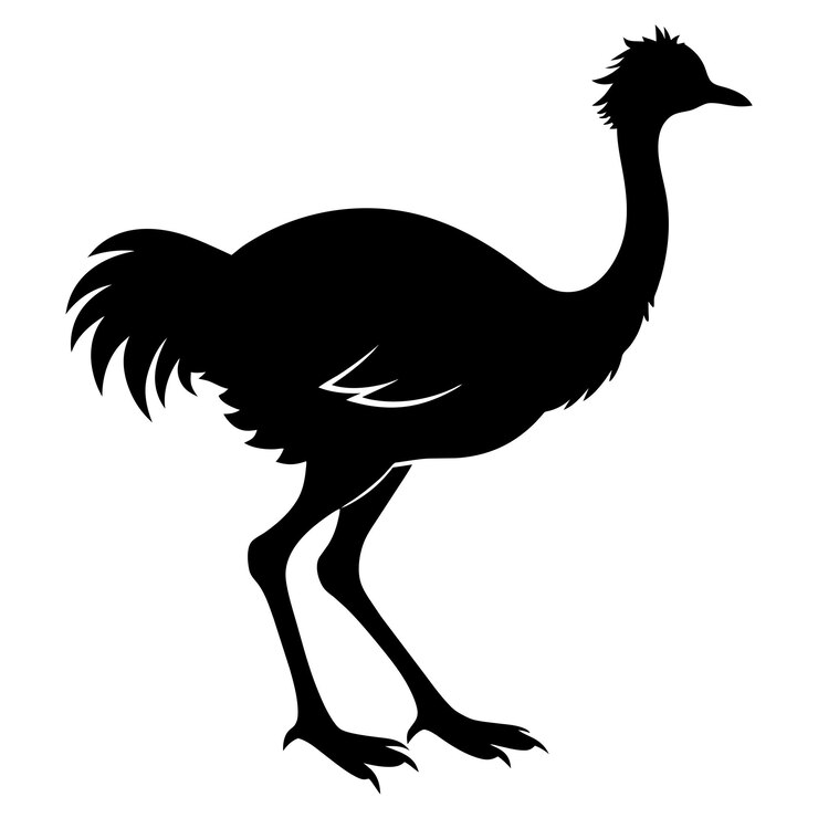 Vector emu bird vector silhouette black color silhouette white background 14
