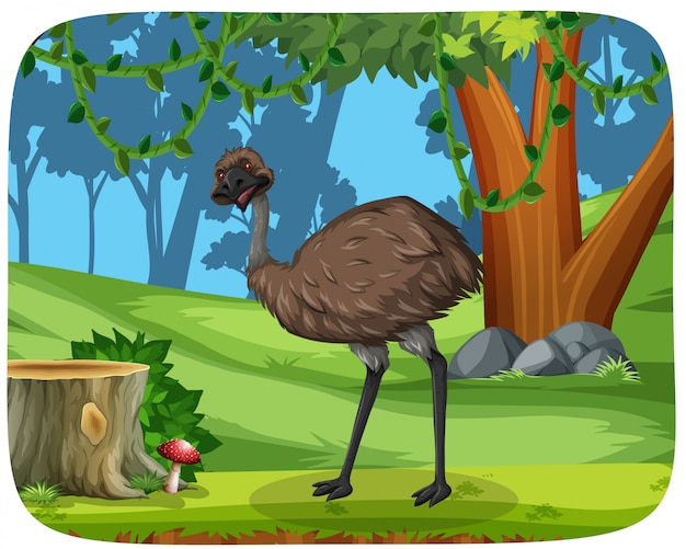 Vector an emu in the forest