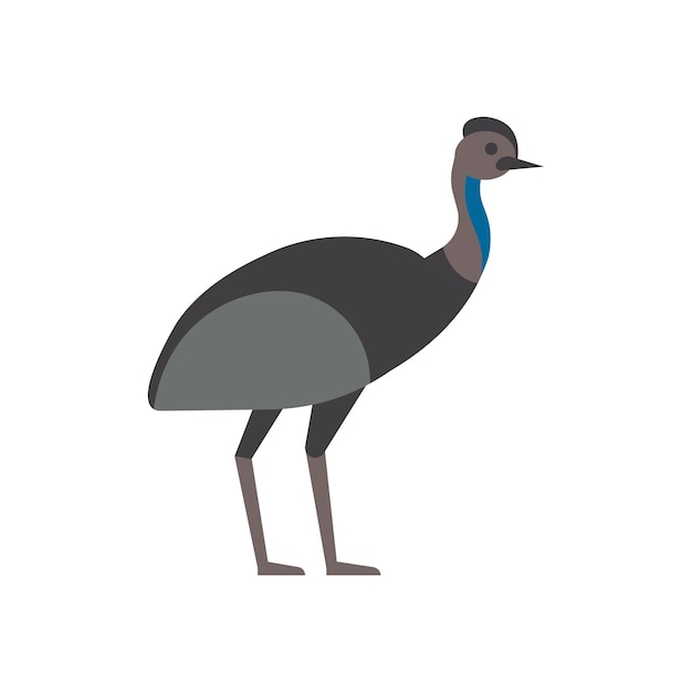 Emu. isolated illustration on white background