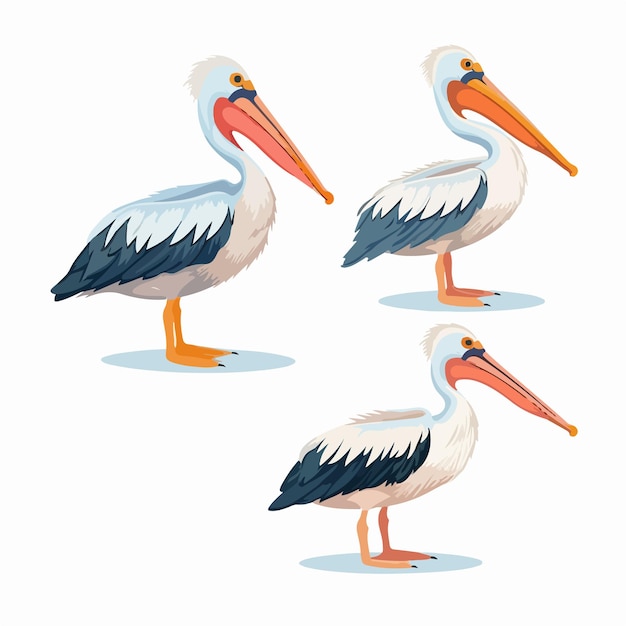Вектор Очаровательные иллюстрации пеликанов в векторном формате идеально подходят для детских книг