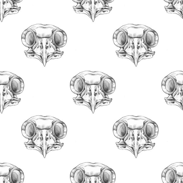 endless pattern of graphic drawings of an owl skull on a white background