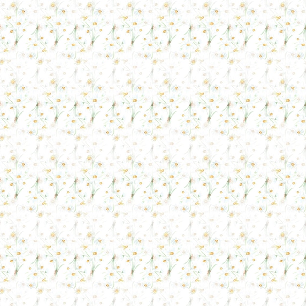 Vector endless pattern of watercolor daisies on a white background