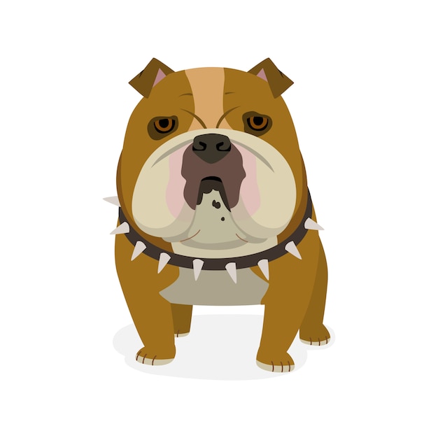 Vector engelse bulldog staande. honden karakters. cartoon stijl illustratie op witte achtergrond