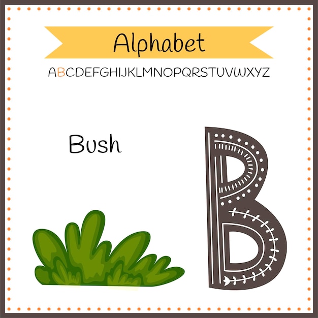 Engelse hoofdletters Alfabetletters op een witte achtergrond. Letter B. Vectorillustratie.