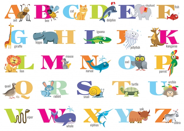 Vector english alphabet for children with cute animals