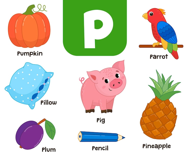 Vector english alphabet in pictures children's colored letter p vector illustration