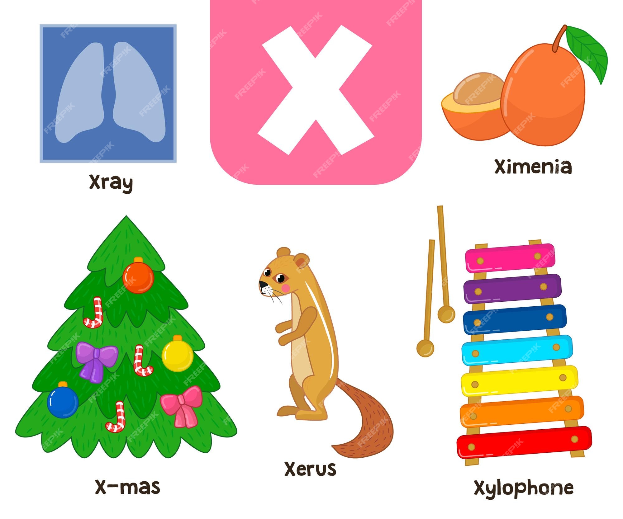 My Image 11