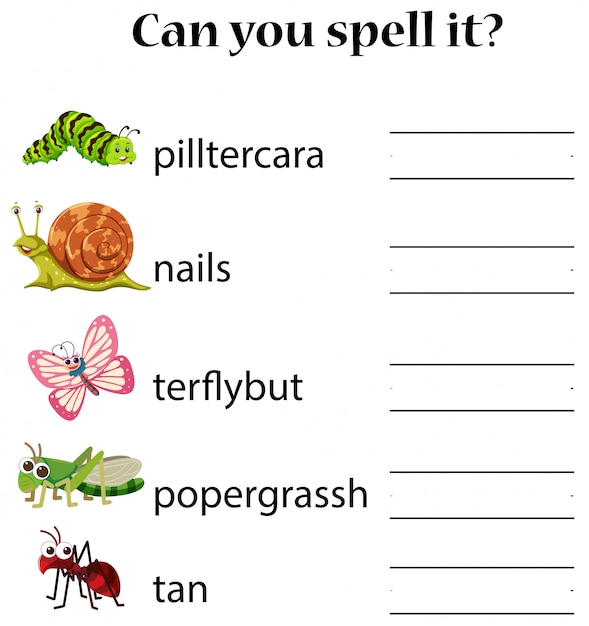 English animal spell worksheet