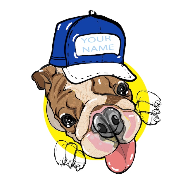 Vector english bulldog by hand-drawing