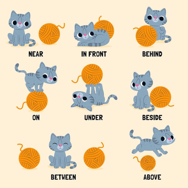 Vector english preposition for children with cat