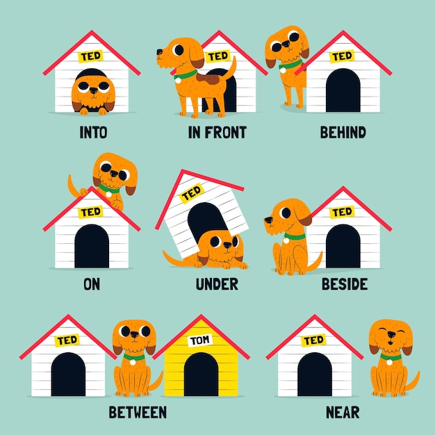 English preposition for children with dog