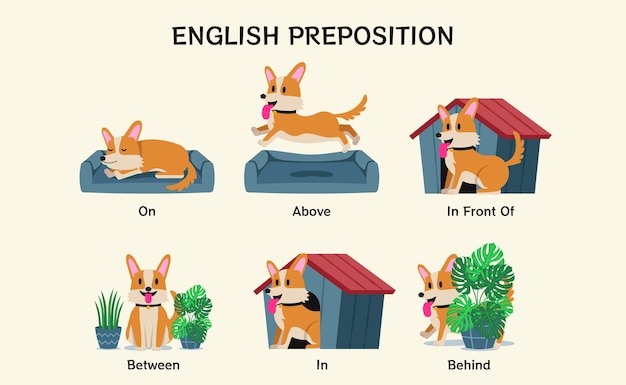 영어 전치사. 언어를 배우는 아이들을 위한 교육용 시각 자료. 귀여운 코기 강아지는 위, 앞, 사이, 뒤에서 애완동물을 키우고 있습니다. 어린이 일러스트레이션을 위한 외국어