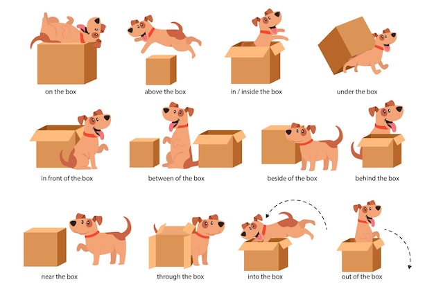 English prepositions of place visual aid for children. cute dog character in different poses playing with carton box. studying of foreign language concept. isolated cartoon vector illustration, set