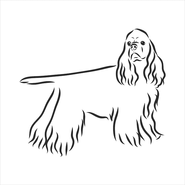 Vector english spaniel russian spaniel dog. hand drawn. vector illustration