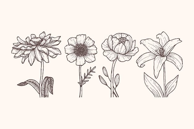 Vector engraved vintage flower