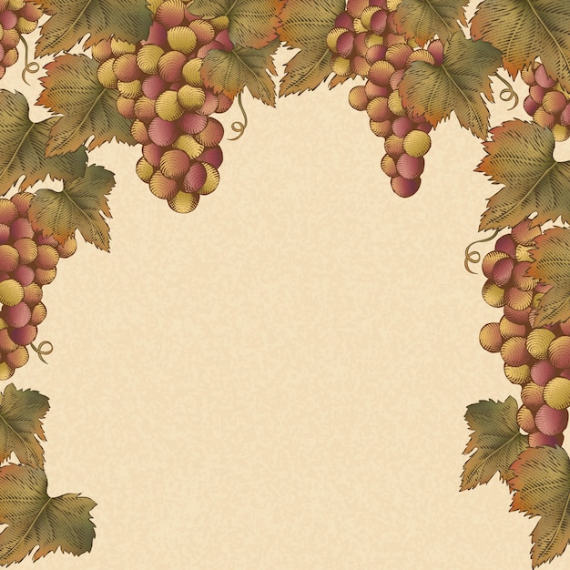 Гравировка винограда и листьев, винтажная рамка из винограда для использования