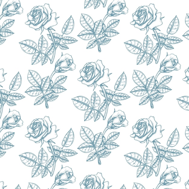 Vector engraving hand drawn botanical pattern