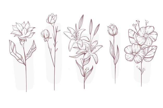 Vector engraving hand drawn flower collection