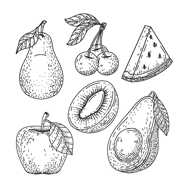 Vector engraving hand drawn fruit collection