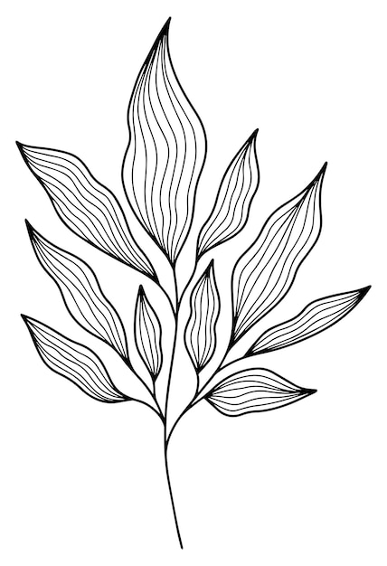 Engraving style leaves branch line art