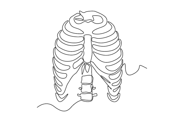 Enkele één lijntekening ribbenkast anatomie Menselijk orgel concept Doorlopende lijntekening ontwerp grafische vectorillustratie