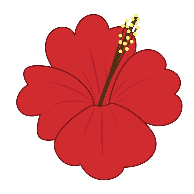 Enkele hibiscus bloem