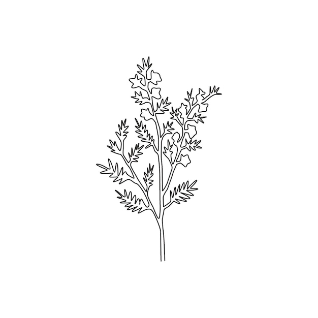 Enkele lijntekening gemeenschappelijke heide voor tuinlogo calluna vulgaris decor muur ontwerp vector