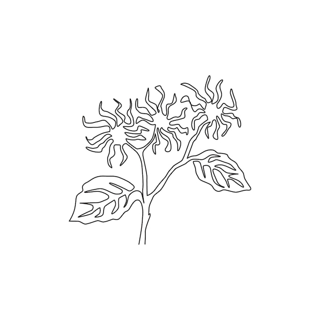 Enkele lijntekening toverhazelaars tuin logo Decoratieve winterbloom bloem muur ontwerp vector