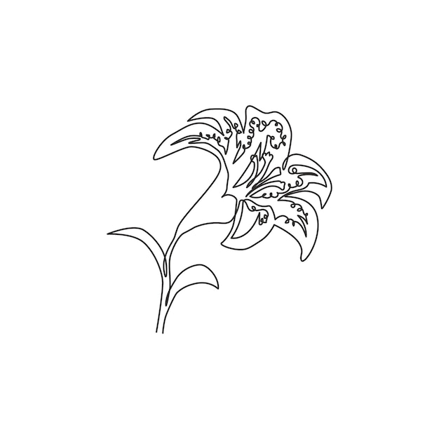 Enkele ononderbroken lijntekening Tiger Lily Home decor muur Decoratieve lilium bloem ontwerp vector