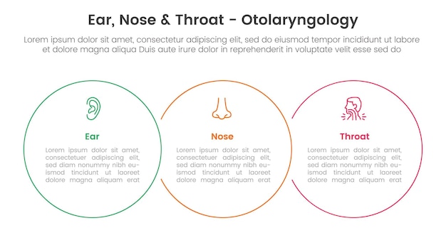 Vector ent health treatment disease infographic 3 point stage template with big circle outline union horizontal for slide presentation