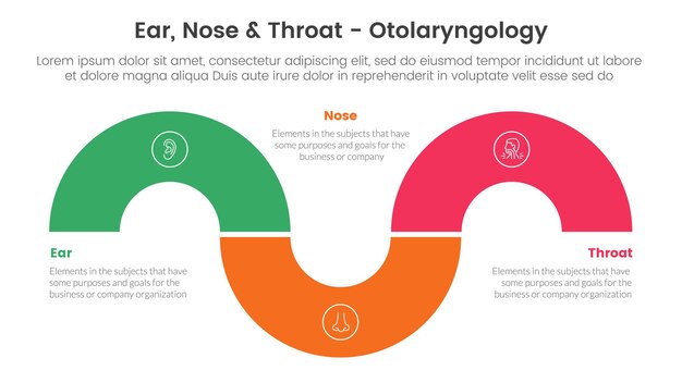 Vector ent health treatment disease infographic 3 point stage template with circular shape half circle up and down for slide presentation