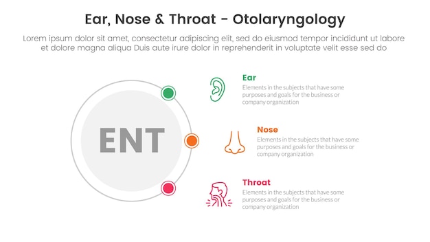 ent health treatment disease infographic 3 point stage template with outline circle connecting network content for slide presentation