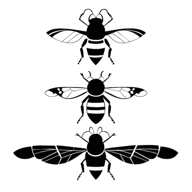興味深い昆虫のイラストの EPS ベクター ファイル
