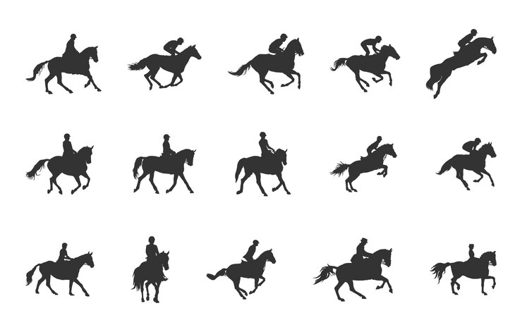 Vector equestrian silhouette