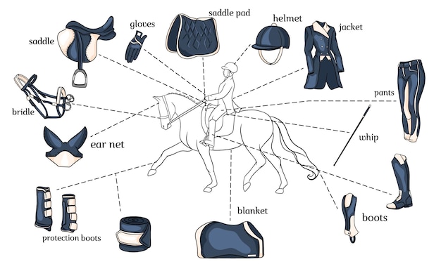 Infografica sport equestri imbracatura per cavalli e attrezzatura da cavaliere al centro di un cavaliere su un cavallo in stile cartone animato. set di illustrazioni vettoriali per la formazione e la decorazione.