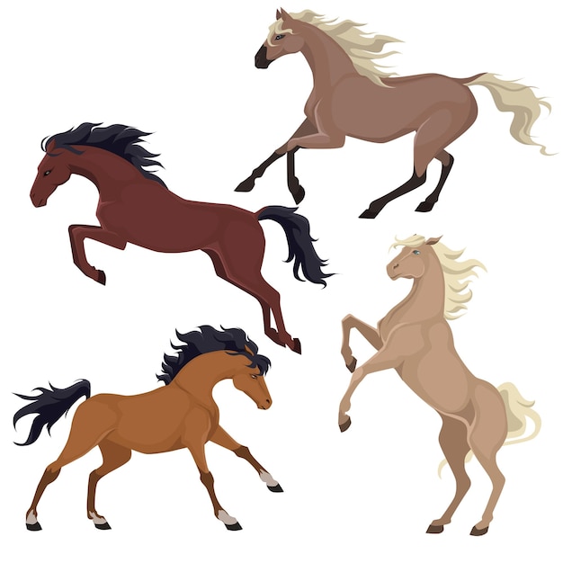 Vector equine coat color vector set horses